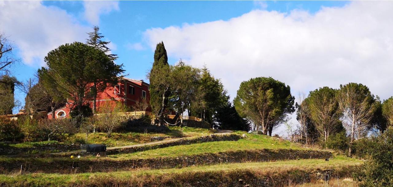 Ferienhaus Piccola Casa Toscana Con Giardino Con Vista Mozzafiato Podere Cordicella