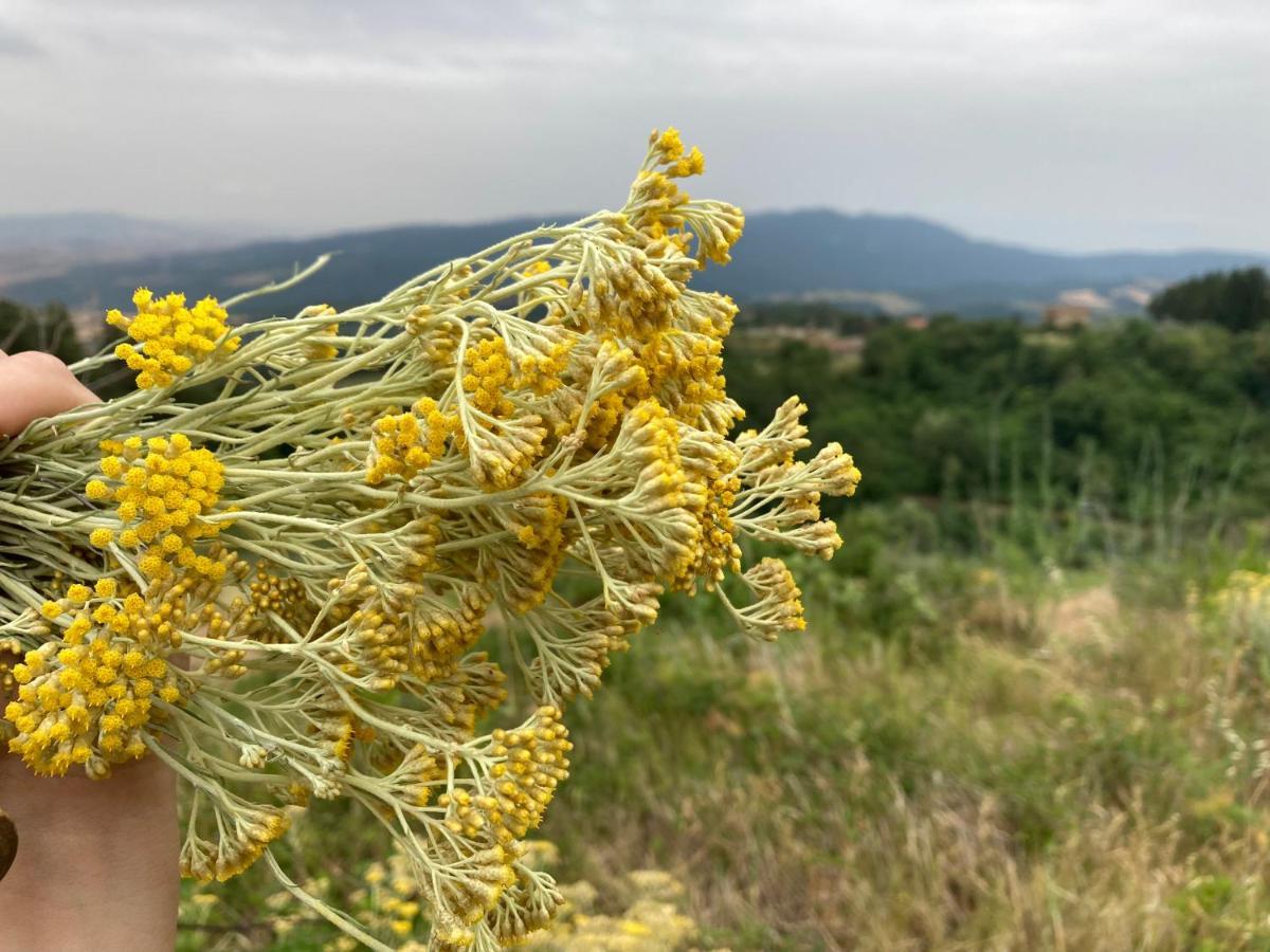 Piccola Casa Toscana Con Giardino Con Vista Mozzafiato Ferienhaus